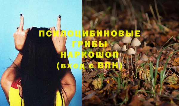 не бодяженный Балахна