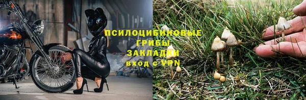 тгк Орехово-Зуево