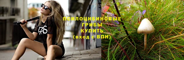 эйфоретик Баксан