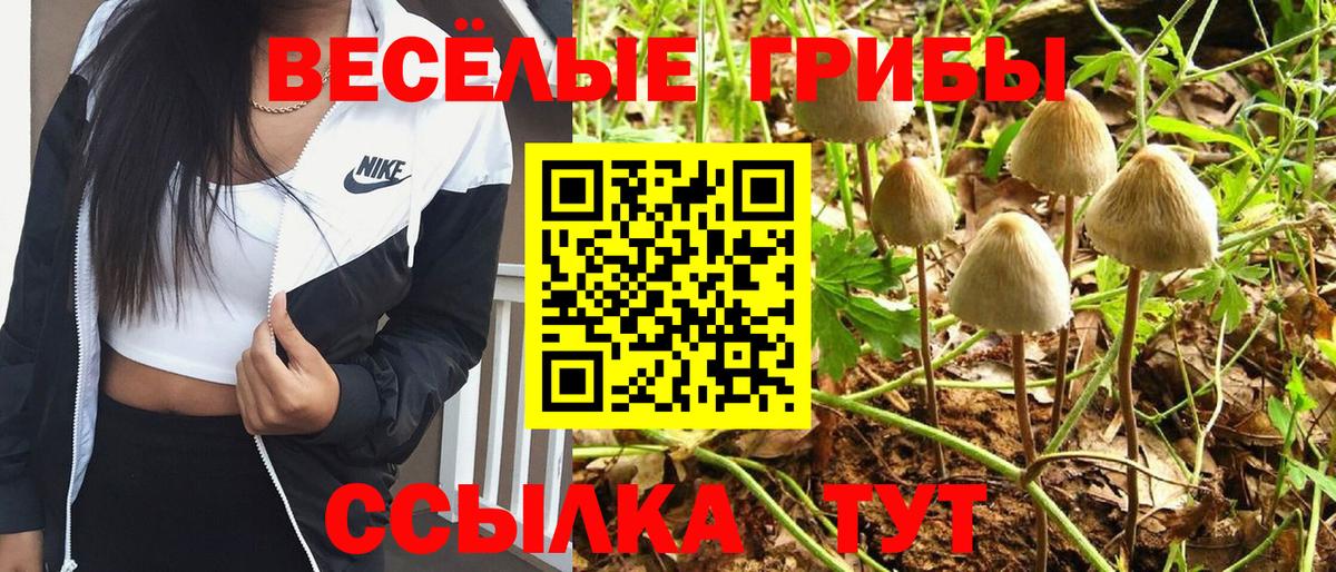 Галлюциногенные грибы мухоморы Благодарный