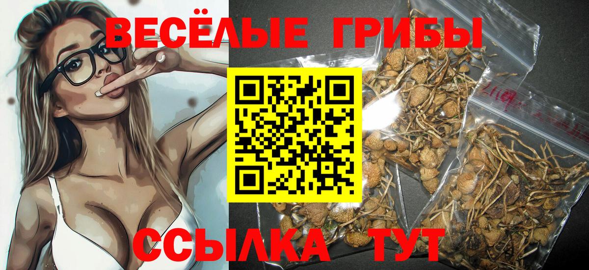 Галлюциногенные грибы мухоморы  Вход с VPN  Галлюциногенные грибы мицелий  Благодарный 